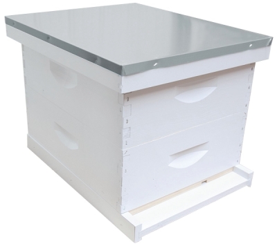 10 frame langstroth beehive